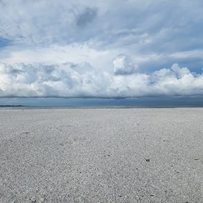 rolltidegirlnj1's profile picture. LESS HATE. Wherever it is I roam, JC will always be my home. Roll Tide