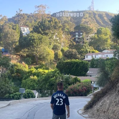 levi_whufc's profile picture. 