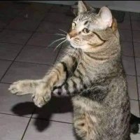 lHilexl (@hilexbb) 's Twitter Profile