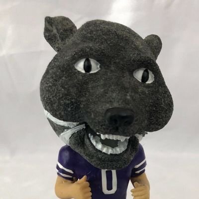 kstate_MAN Profile