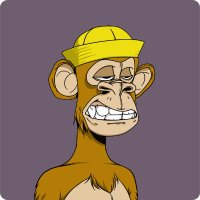 swilson (@susanisland) 's Twitter Profile