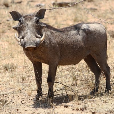 offtrailjournal's profile picture. Banter and Everything about Travel