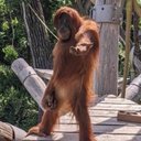 Hank Wright - @haxxxxxxxo - Twitter