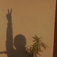 🫧. (@amirakarawya1) 's Twitter Profile