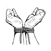 lzr (@lzr1037) 's Twitter Profile