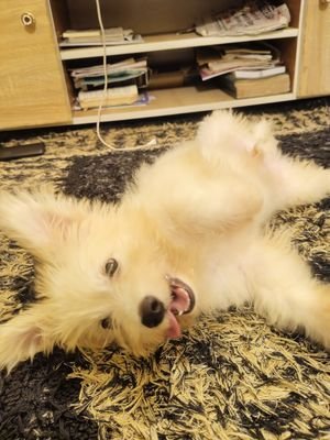 JsprSolana's profile picture. I am 2