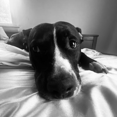 mirror13all's profile picture. taylor swift for #bb26