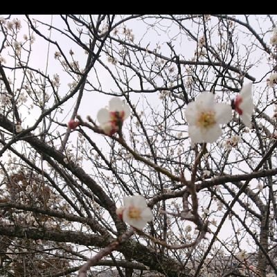 VNb0b2Ky2ZBPCke's profile picture. 現在、なんとか一文無しから脱出して、貯金200万。

いろいろありました…

#乗馬