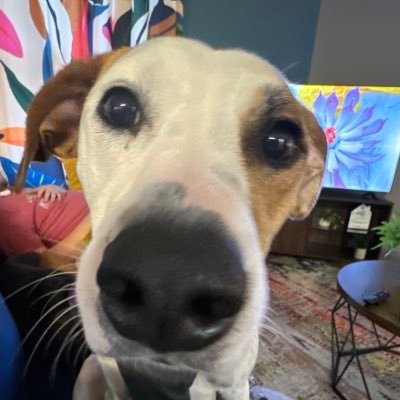 _LuckyPlayer's profile picture. Twitch Streamer, Valorant Addict, Variety Games. Twitch: https://t.co/CXU0298mDY