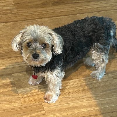 FreeTheDocs's profile picture.