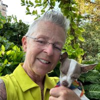 Susanne Q. (@q45woodstock) 's Twitter Profile