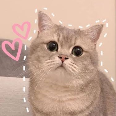 Cholebhature_29's profile picture. Karma !!