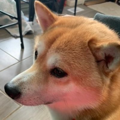 MahomesEra69's profile picture. Grandpa of 4, father of 2, retired, disabled. Go Chiefs! He/Him 🏳️‍🌈