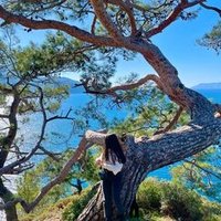 Sddir (@sddircj0cm) 's Twitter Profile