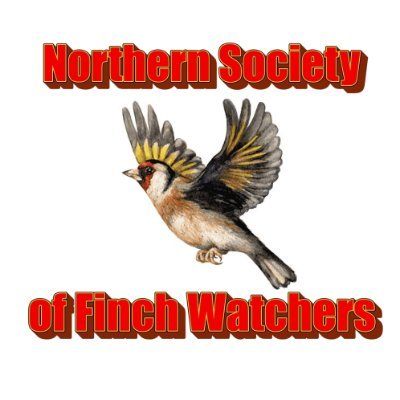 Northern Society of Finch Watchers. Est. 2006. Finally tweetin' 😅🐦 BY & MG