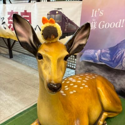 成人済のさにわ🍓と🍮と🐱大好き。たこなりーずで🕳民。刀剣乱舞・現場・刀剣鑑賞旅、総合雑多垢。日常。観劇。無言フォローすみません!夢で腐雑食。.5大好き。へし切長谷部、大倶利伽羅、長義推し。次郎、太郎、国広も好き。入村済。🥷🥚(雑伊、利土)🍒🧙♂️、⚪️🔴、エクソダスとアマゲン 同担是非