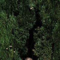 Tosybra (@tosybraethpaoc) 's Twitter Profile