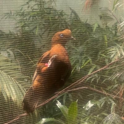 Doonberries's profile picture. 