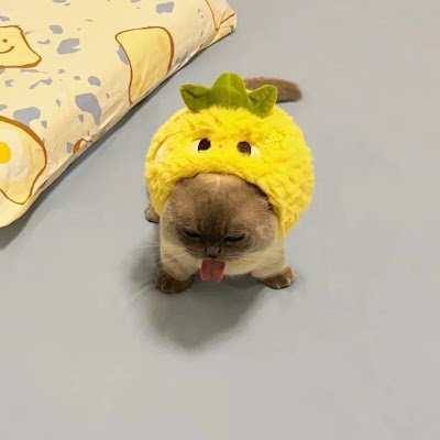 CFreeserve17279's profile picture. 