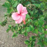 Felisa Zicari (@felisazicari1) 's Twitter Profile Photo Felisa Zicari (@felisazicari1) 's Twitter Profile Photo