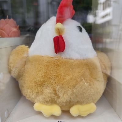 fc8360708081062's profile picture. Compte de au Secours de Coq6