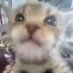 222 (@april50773) Twitter profile photo 222 (@april50773) Twitter profile photo