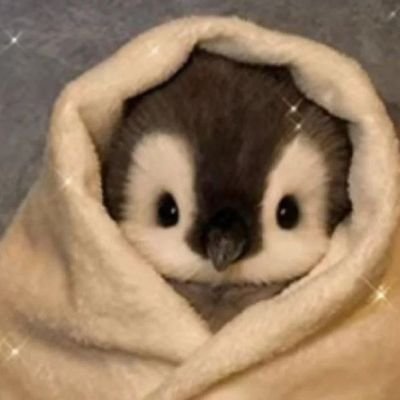 S_Sosam's profile picture. #fufulearn