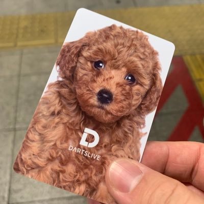 ダーツ垢 フォローありがとうございます! 2023/12/6〜🎯 首都圏〜千葉近辺 対面対戦相手募 飲むのも好き🍻