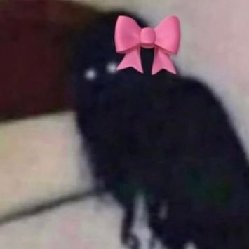 f_btu11's profile picture. 