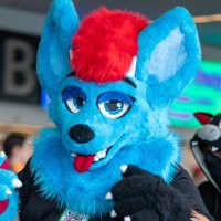 Chomp @ PCD (@chompdoggo) 's Twitter Profile
