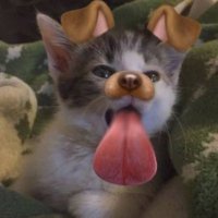 wonnie (@janggwonnie) 's Twitter Profile