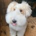 andrew (@baekryi) Twitter profile photo andrew (@baekryi) Twitter profile photo
