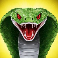 GridViper (@grid_viper) 's Twitter Profile