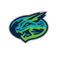 Lynchburg Hillcats (@lynhillcats) 's Twitter Profile