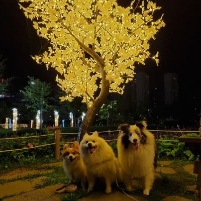 taeha0414's profile picture. 