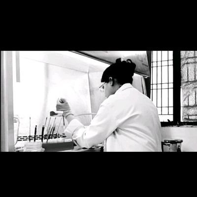 rasheeadi7's profile picture. A human!