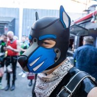 Apex (@apup_apex) 's Twitter Profile Photo Apex (@apup_apex) 's Twitter Profile Photo