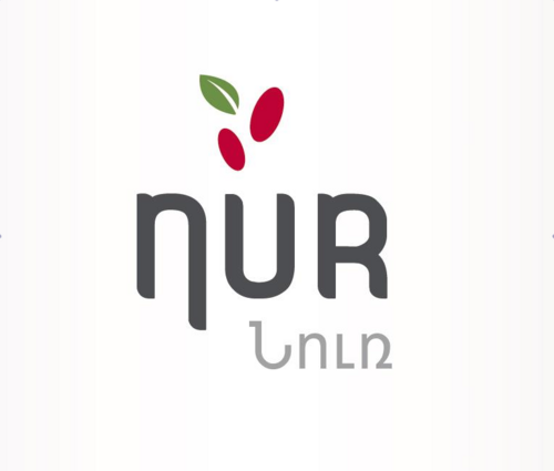NUR_ARMENIA's profile picture. New Educational Strategy - One Laptop Per Child Armenia
