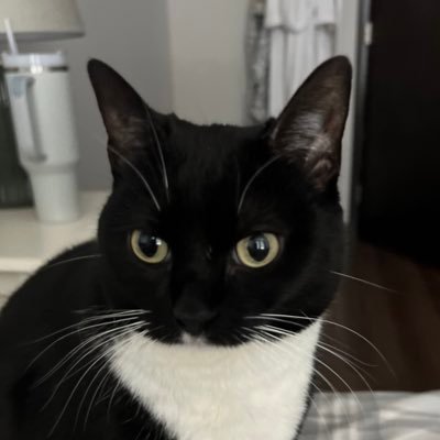 amandahallman_'s profile picture. she/her🏳️‍🌈