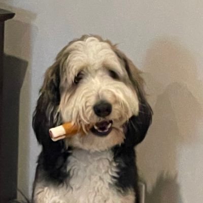 MatthewPurcel12's profile picture. 