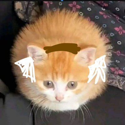 kedy123458's profile picture. Mind Blowin'
Right?!
19 - 🟨🟦🟥
No se, solo existo