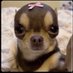 Alicia (@aliciad_xo) Twitter profile photo Alicia (@aliciad_xo) Twitter profile photo