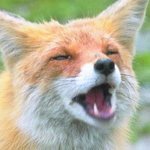 hatsumi_kuuko19's profile picture. 