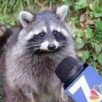 Jacob Raccoon (@jcracoon) 's Twitter Profile Photo Jacob Raccoon (@jcracoon) 's Twitter Profile Photo