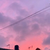 Kaelagi (@nonkael) 's Twitter Profile