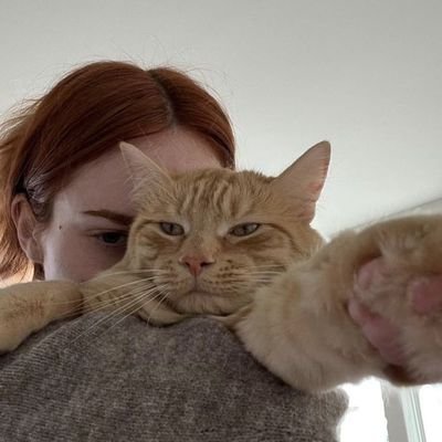 jolliboo_eve's profile picture. this girl loves cats and divas