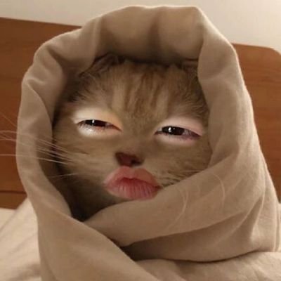 llaviestbelle_'s profile picture. ♡.•♬✧* | life goes on | 🧚‍♀️💫✨| ngantukan