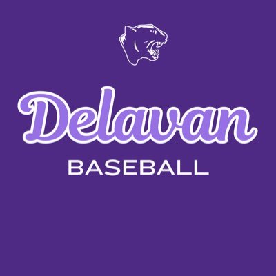 Delavan Panthers Baseball Profile