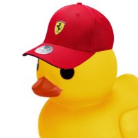Formula Duck (@f_duck1) 's Twitter Profile