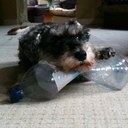 Sue Eakin - @sme2008 - Twitter